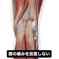 画像693