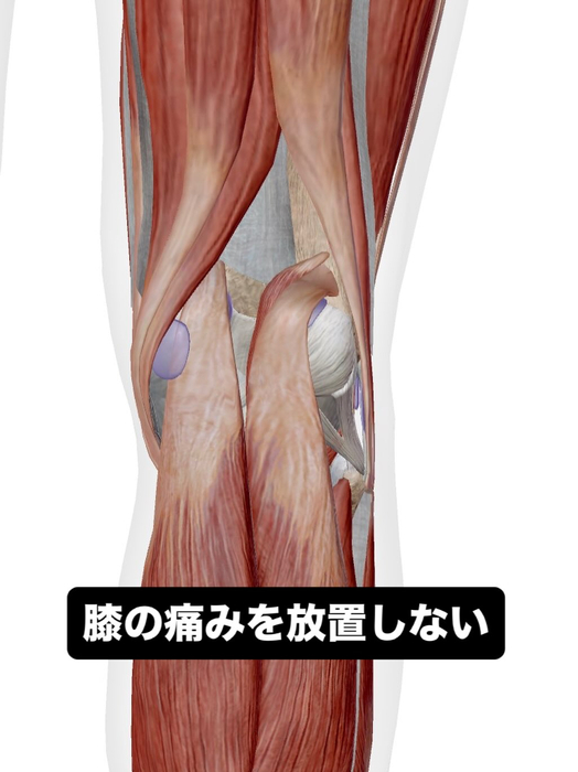 画像693