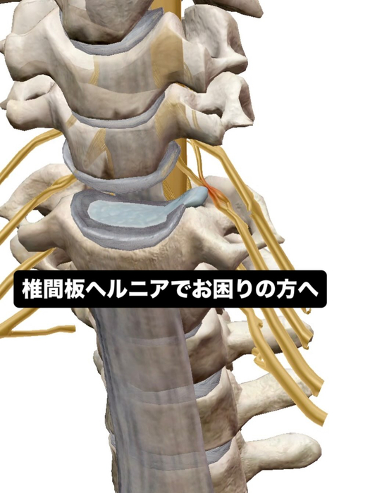 画像697