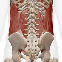 画像907