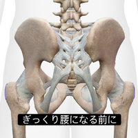 画像943