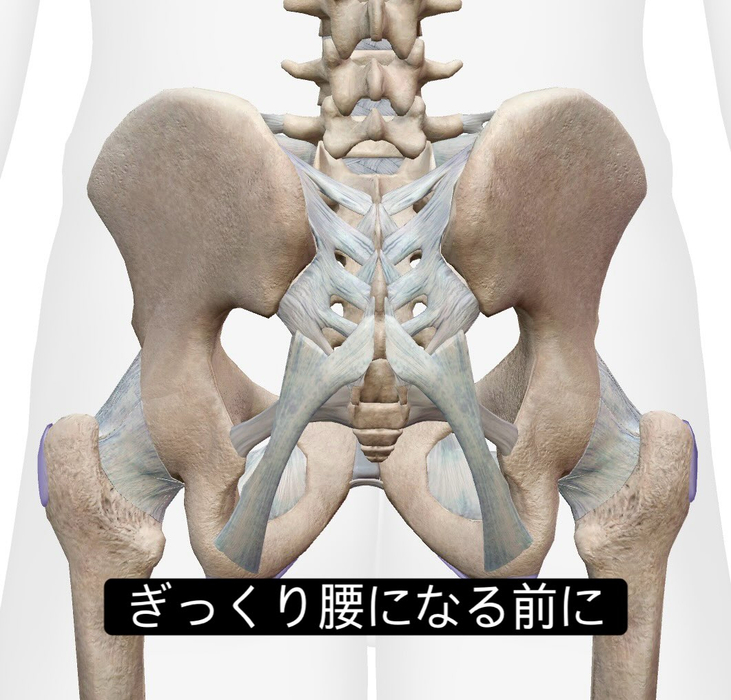 画像943