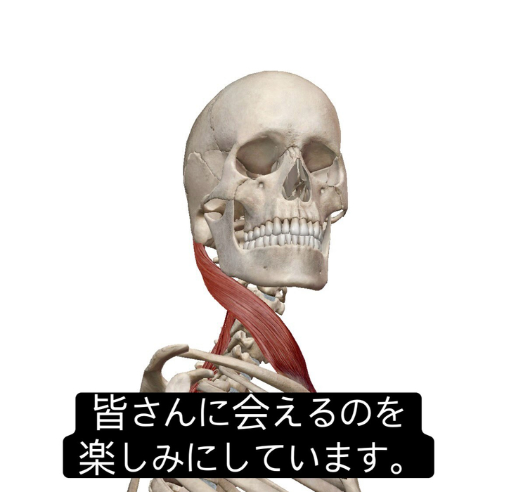 画像945