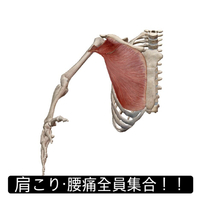 画像947