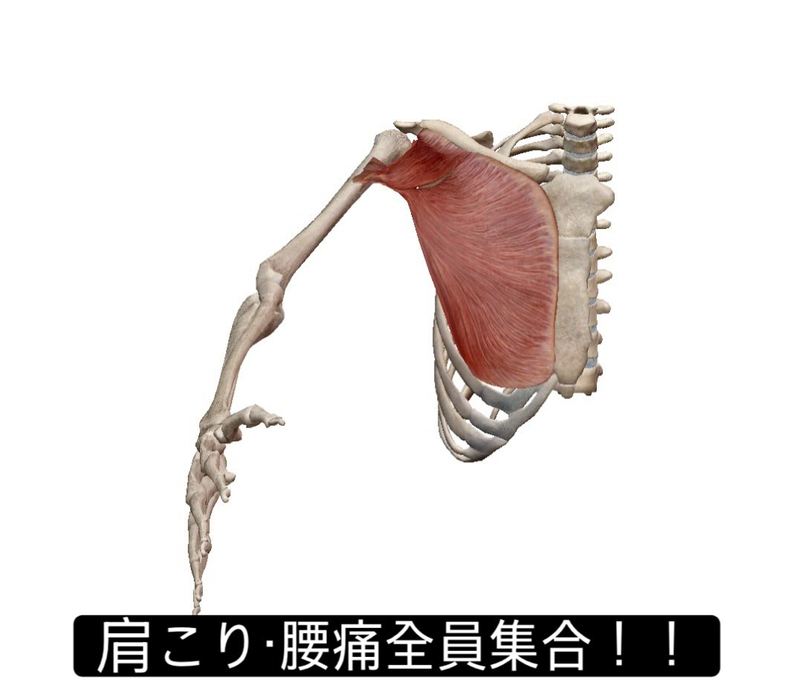 画像947