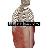 画像951