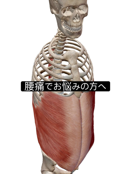 画像951