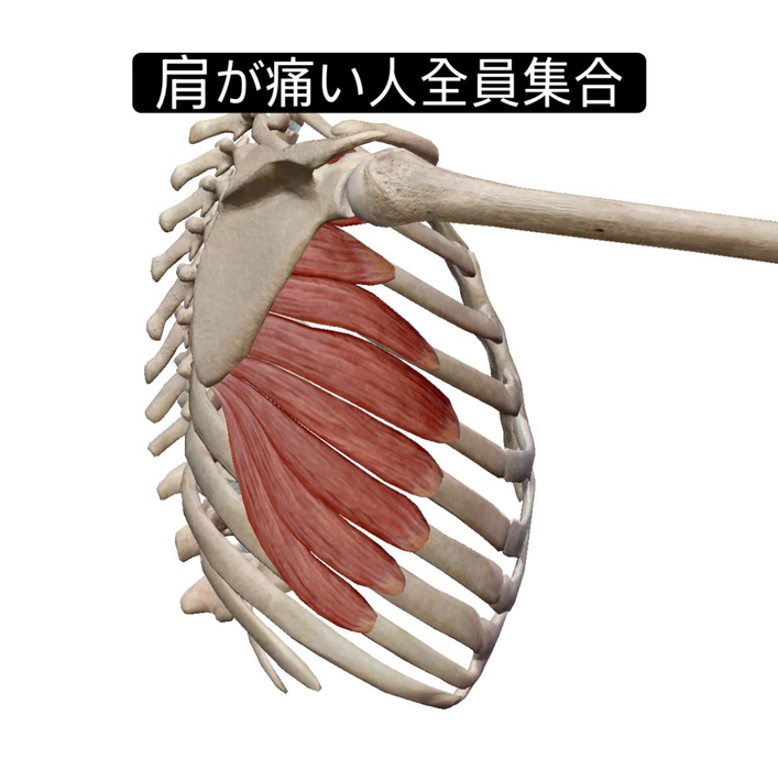 画像953