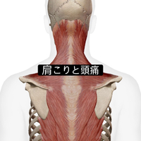 画像955