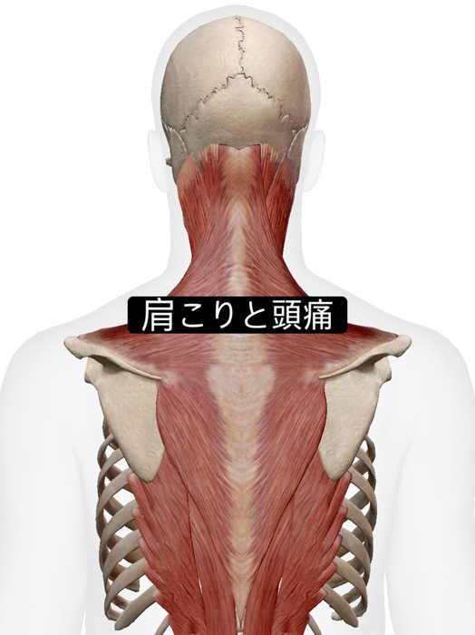 画像955