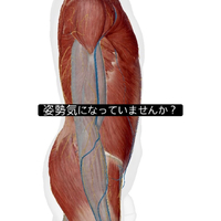 画像957