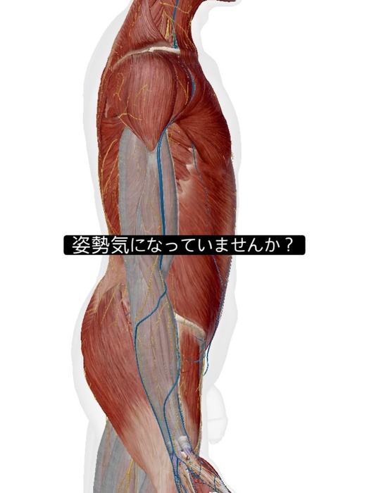画像957