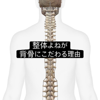 画像959