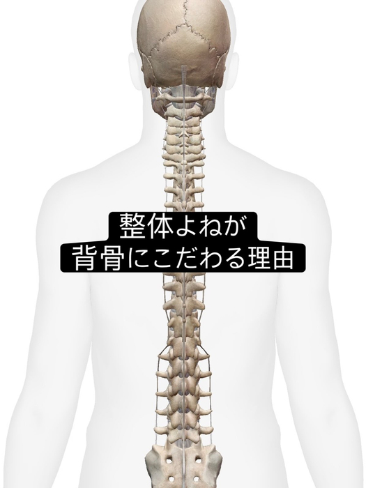 画像959