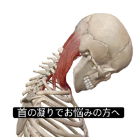 画像961