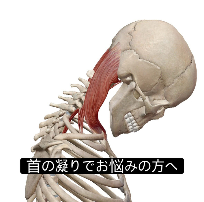 画像961