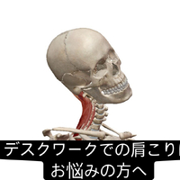 画像963