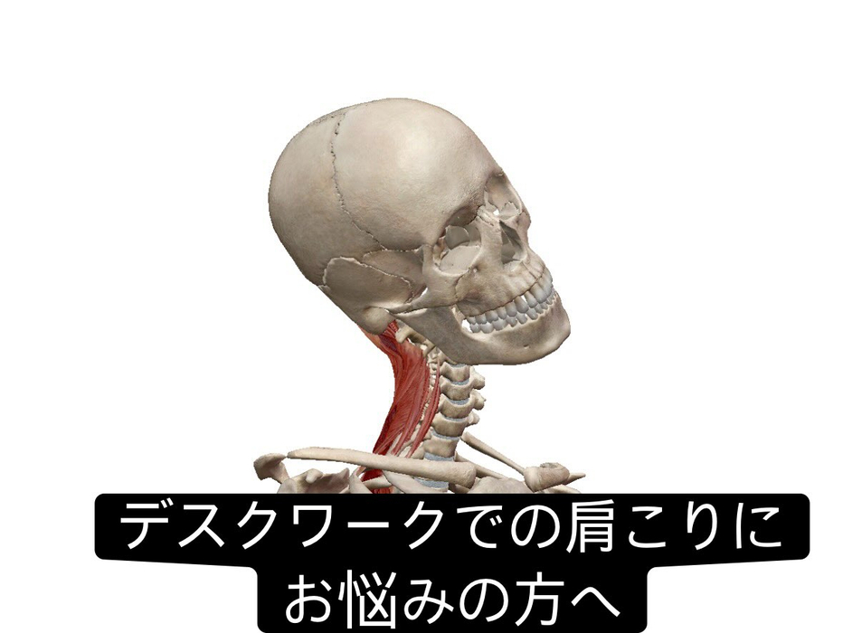 画像963