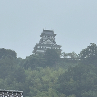 画像968