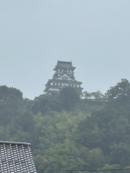 画像968