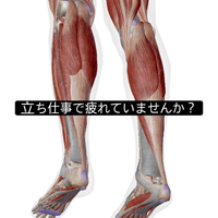 画像972