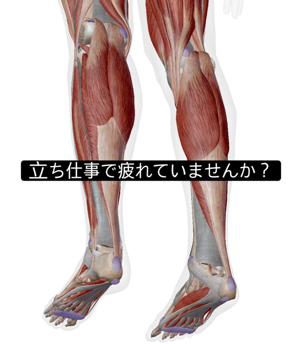 画像972