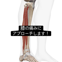画像976
