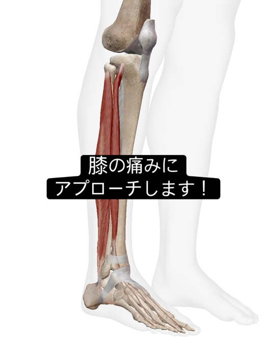 画像976