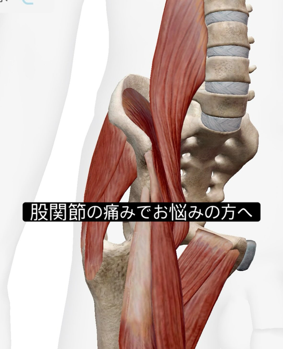 画像978