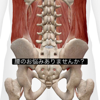 画像980