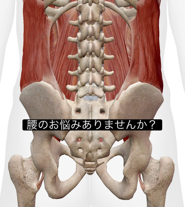 画像980