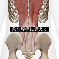 画像982