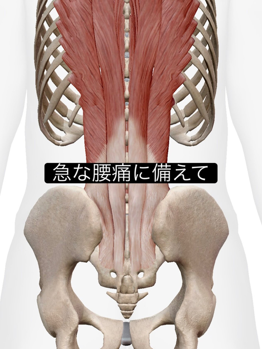 画像982