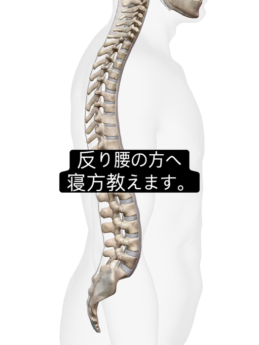 画像984